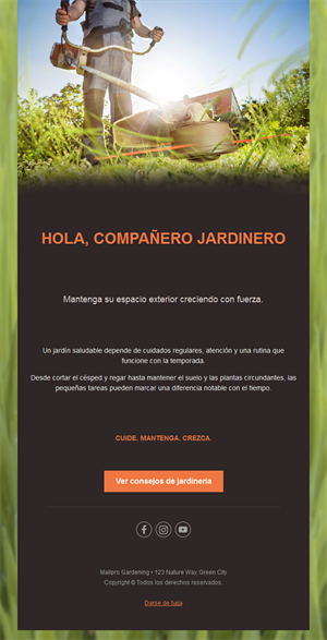 Email de cuidado del césped