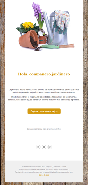 Email de consejos de jardinería con herramientas