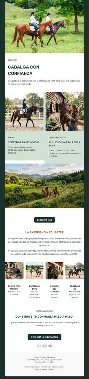 Newsletter de club de equitación