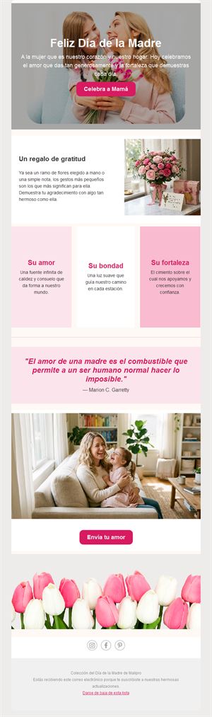 Email del Día de la Madre con cita