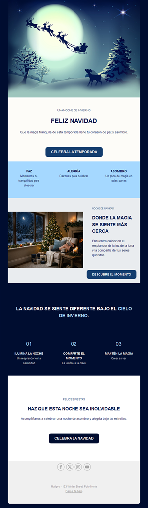 Newsletter navideña de noche de invierno
