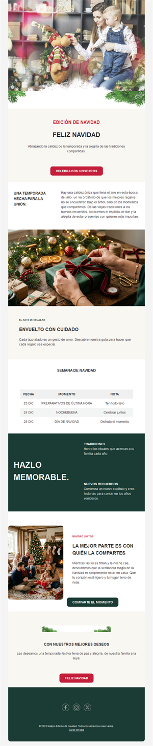 Newsletter navideña familiar