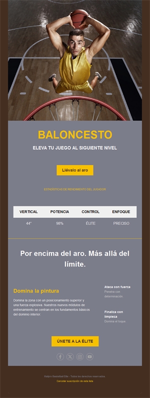 Email de programa de baloncesto de élite