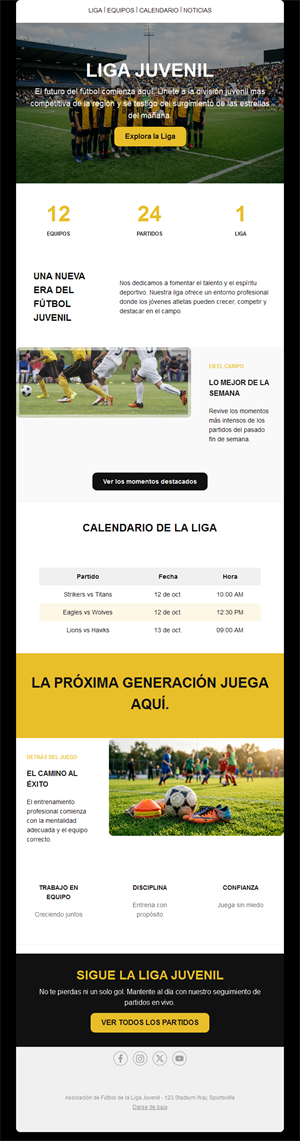 Email de liga de fútbol juvenil