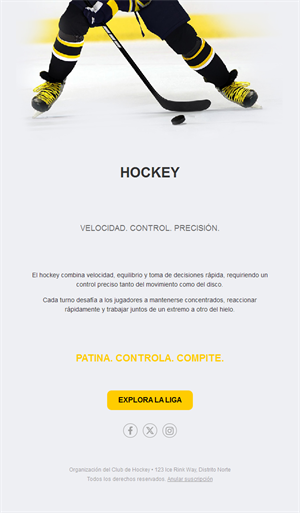 Email de liga de hockey sobre hielo