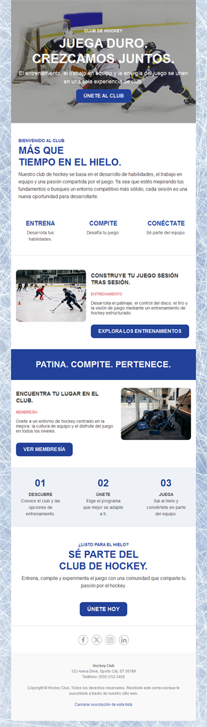 Newsletter de socios de club de hockey