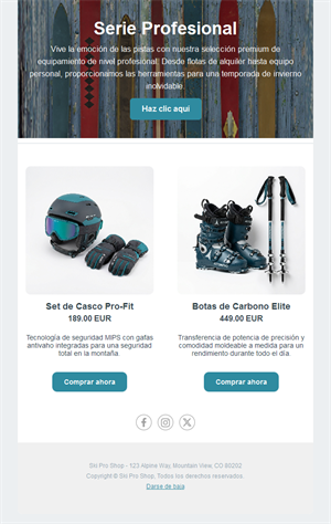 Email de tienda de material de esquí