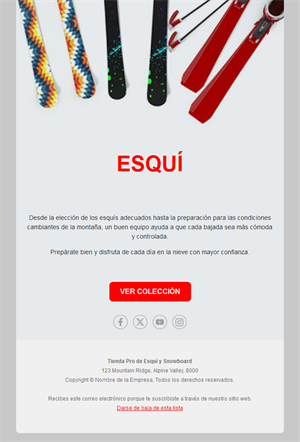 Email de tienda de esquí