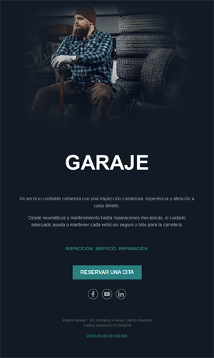 Email de cita para tienda de neumáticos