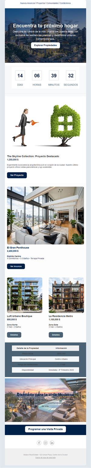 Email inmobiliario de obra nueva
