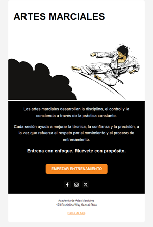 Email ilustrado de artes marciales