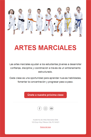 Email de clases de kárate para niños