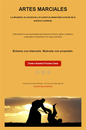 Email de clase de aikido al atardecer