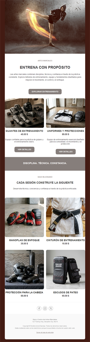 Newsletter de tienda de artes marciales