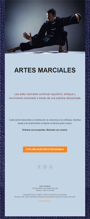 Email de programas de kung fu