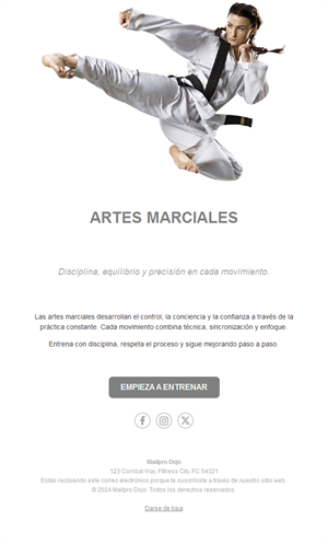 Email blanco de dojo de kárate
