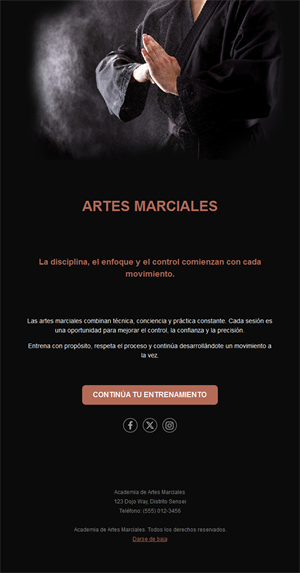 Email negro de academia de artes marciales
