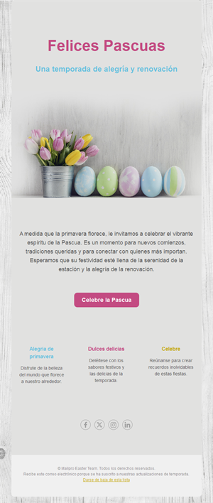 Email de Pascua con huevos pastel y tulipanes