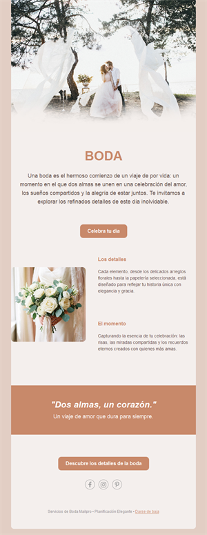Email elegante de boda en terracota